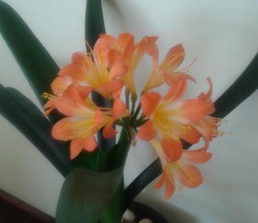 Middelburg House | Turquoise View Guesthouse