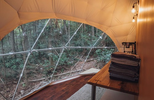 Rogers Hotel | Turtle Dome Treehouse: part of the dome town village!
