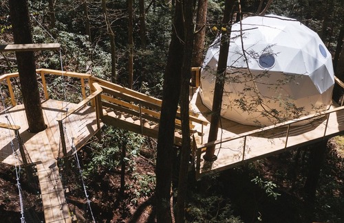 Rogers Hotel | Turtle Dome Treehouse: part of the dome town village!