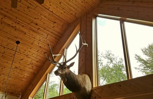 Mercer Cabin | Turtle Flambeau Flowage Lakefront Cabin