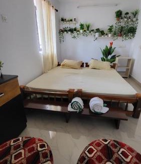 Munroe Island Bed & Breakfast | Turtle Island - Homestays