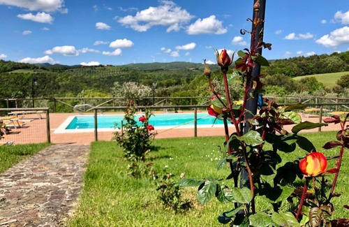 Gello House | TUSCANY TOUR - Farmhouse Gello vineyard