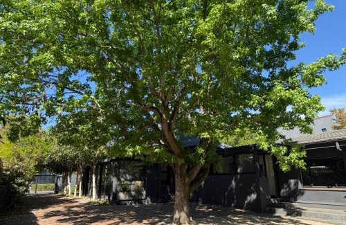 Stellenbosch Central House | Twice Central Guest House