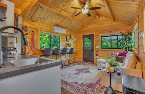 Herndon Cabin | Twilight Escape nTiny home in Herndon Pa