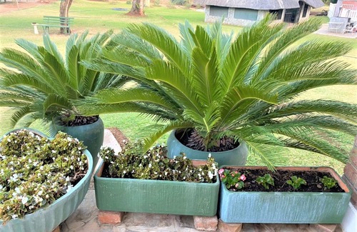 Bulawayo Apartment | Twin Room in Hillside - 2087