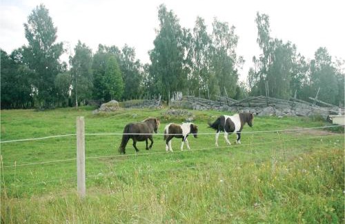 Mullsjo House | Two-Bedroom Holiday Home In Mullsjo