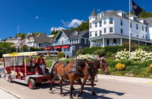 Cheboygan Cottage | Two Cottages by Mullett Lake - Sleeps 12