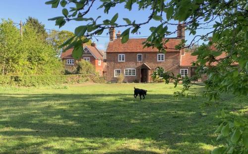 New Forest District House | Two Sides Cottage