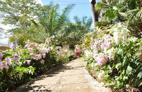 Managua House | Two-storey fully equiped house