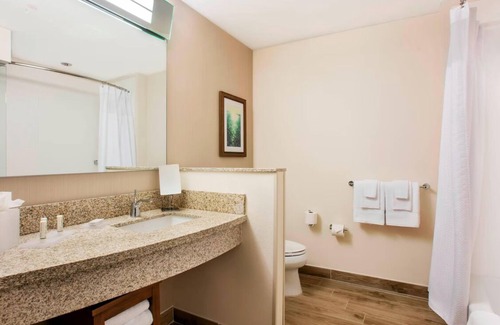 Marathon Hotel | Two Units Right tn the Heart of Florida Keys | Water Front Hotel w/Scenic View