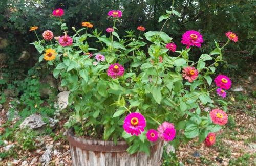 Lectoure House | Ty'Galis