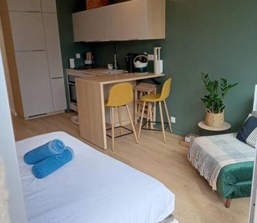 Moulin du Comte Apartment | Ty Jolie Super Grand Studio avec Parking et Terrasse