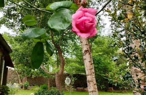 Huelgoat Bed & Breakfast | Ty Merzhin