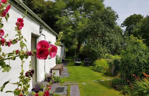 Bodorgan House | Tyn Llan