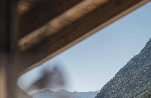 Pertisau Apartment | Type Glockenblume - Apart Garni Montana