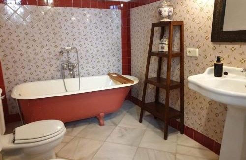 Sanlucar de Barrameda House | Typical Andalusian House s XVII