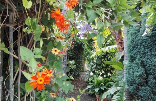 Brena Alta Apartment | Typical Canary Cottage - Relaxation in the Botanical Garden