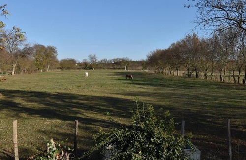 Le Cailar House | Typical farmhouse in the heart of the Camargue Le cailar