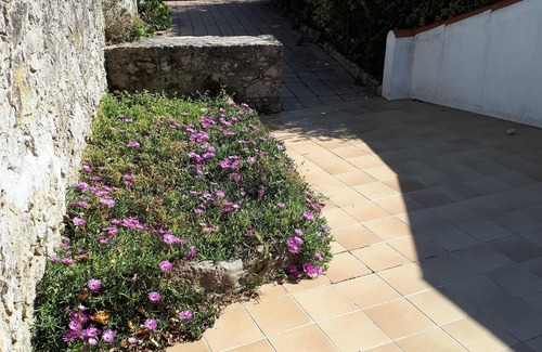 La Gueriniere House | Typical house in Noirmoutier terrace and parking, beach 40 meters