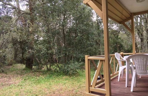 Petreto-Bicchisano House | U Pratu, bungalows surrounded by nature, natural swimming pool and organic garden