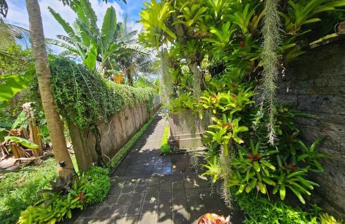 Kedewatan House | UBUD in PARADISE THE HONEYMOON PRIVATE VILLA IN Ubud-Bali