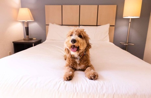 Brentwood House | Ultimate Brentwood Escape! Fully-equipped Kitchen, Pet-friendly Property!
