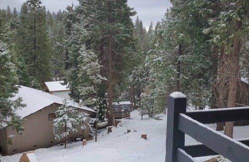 Mi-Wuk Village Cabin | Ultimate family retreat in the Woods!