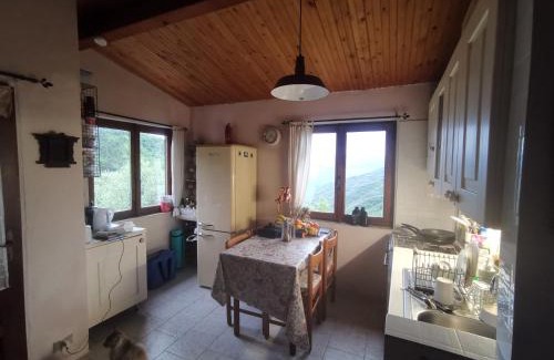 Berzi House | Ultimate Tranquillity and Relaxation