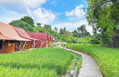 Andong Cottage | Uma Raos Cottage
