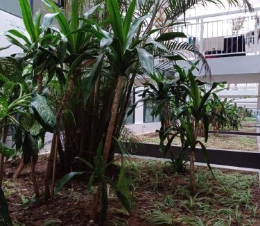 Durban North Apartment | Umhlanga the Coconut at the Millenial