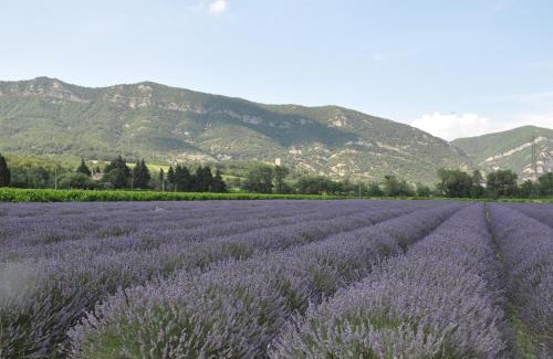 Roche-Saint-Secret House | Un petit coin de paradis