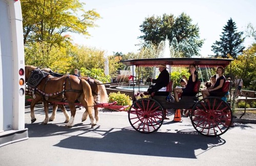 Town of Delaware Resort | Unbelievably priced week in the Catskills at The Villa Roma Resort & Spa
