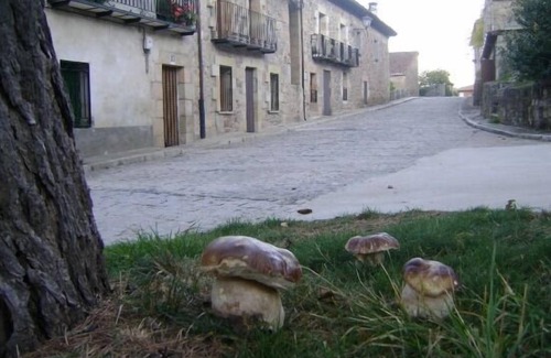 Molinos de Duero Cottage | Uncle Benito's House for 6 people