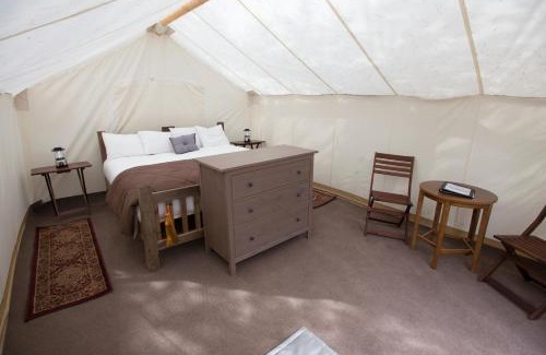 Coram Other | Under Canvas Glacier
