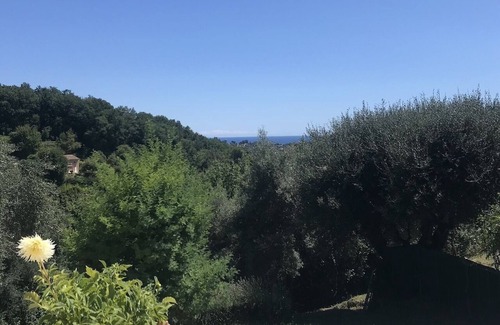 Saint-Paul-de-Vence House | Under the Olive Tree, 50m2 fully-equipped outbuilding