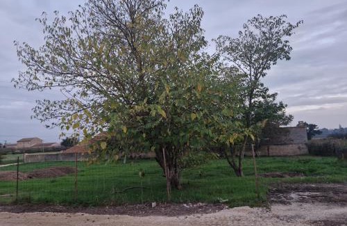 Bedarrides Bed & Breakfast | Une chambre