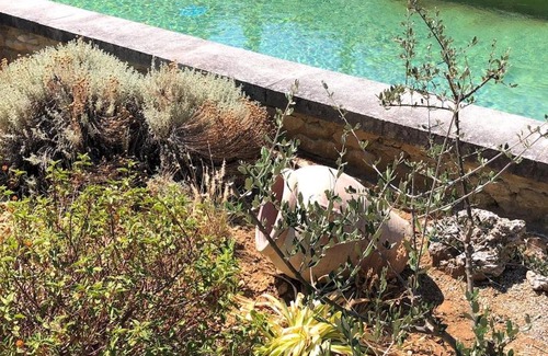 Taulignan House | Une chapelle en soie