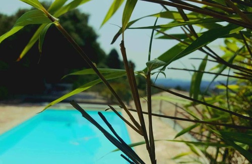Saint-Pierre-Saint-Jean Villa | Une Oasis Ardéchoise, Isolée, sur 32 Ares Arborés, 2 Logements, Piscine Privée