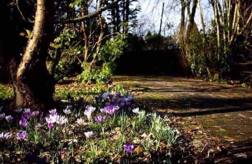 Auchterarder House | Unique Arts & Crafts Home in Auchterarder