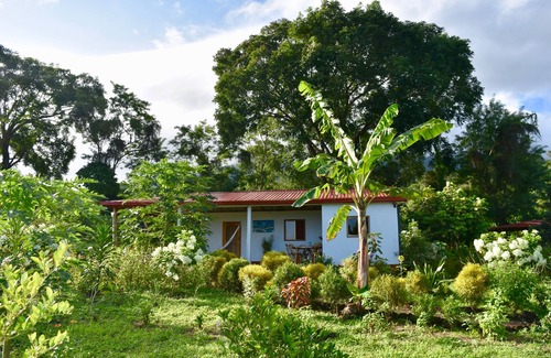 Balgue House | UNIQUE & BEAUTIFUL LITTLE HOUSE-BUTTERFLY GARDEN