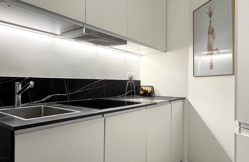 Quartier Saint-Ambroise Apartment | Unique central arty Penthouse with 2 bedrooms, airCond and terraces