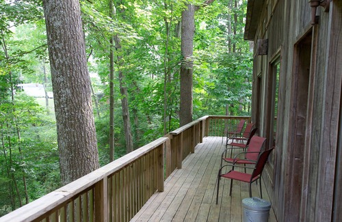 Logan Cottage | Unique Cottage Nestled Within Tall Oaks - SLEEPS 6!