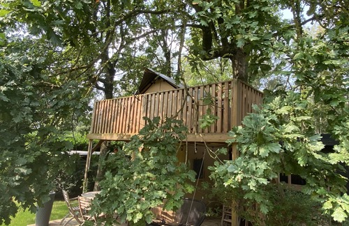 Wingene Cabin | Unique eco-lodge in the woods near Bruges, Ghent and the beach.
