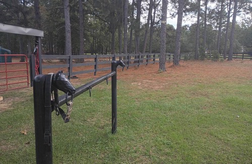 Langley House | Unique Hangar & RV Experience with paddock and shelter for Horses