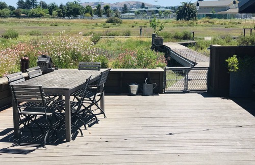 Larkspur House | Unique home on tidal creek and marsh.