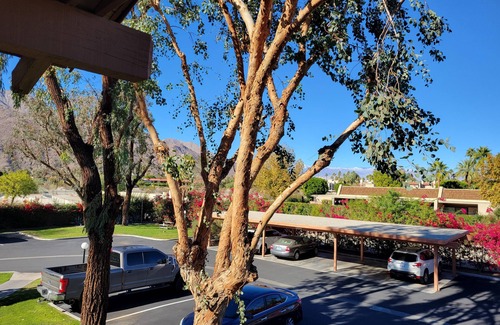 Baristo Condo | Unique large desert(+) rental opportunity