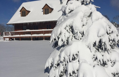 Ellicottville Ski Chalet | UNIQUE Log Style Cozy Ski Chalet - Walking Distance To Town - Pets Welcome