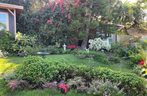 Opihihale House | Unique opportunity to live Kona, Hawaii from Nov.1-Nov.30,2025.