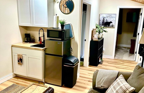 Birch Run Township House | Unit 2 Little Bear (no pets allowed)