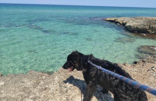 Capitolo Bed & Breakfast | Uno'